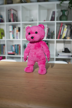 The Pink Bear Plush