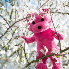 The Pink Bear Plush
